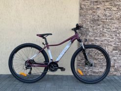 velosipēdi CTM Charisma 3.0 29″
