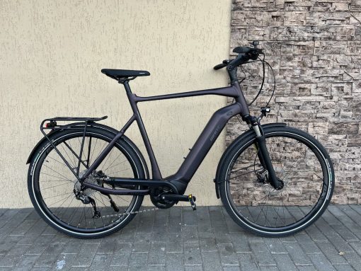 Giant AnyTour E+ 3 GTS rosewood E-Bike - 1