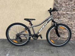 velosipēdi Giant XTC JR 24″