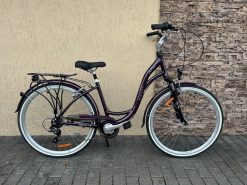 velosipēdi Paris 6s AMT 28″