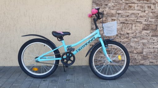 DHS Terrana 1s 20 blue:pink liet