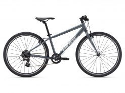 velosipēdi Giant ARX 26″