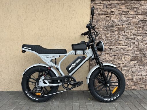 Ape Ryder Mandrill Ultra 20 grey E-Bike - 1 Ape Ryder Mandrill Ultra 20 grey E-Bike - 1